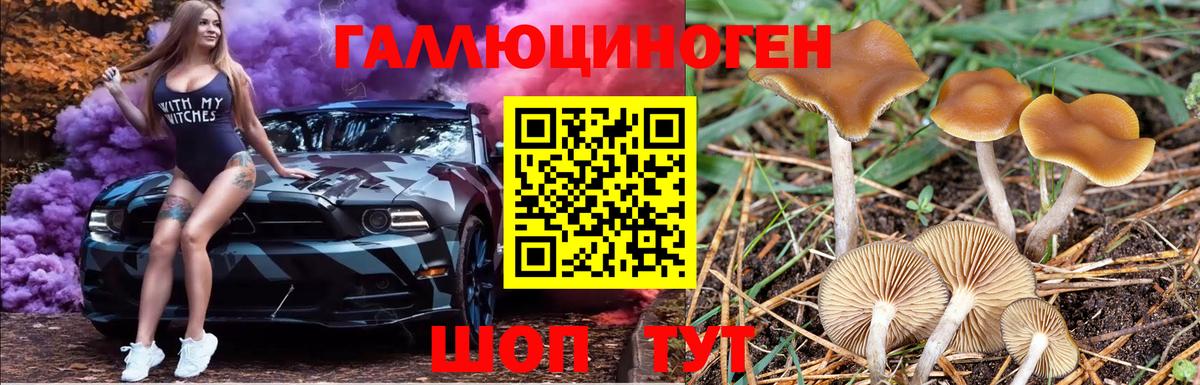 Иркутск  Псилоцибиновые грибы мухоморы  Галлюциногенные грибы Psilocybine cubensis  Вход с VPN 